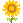 🌻